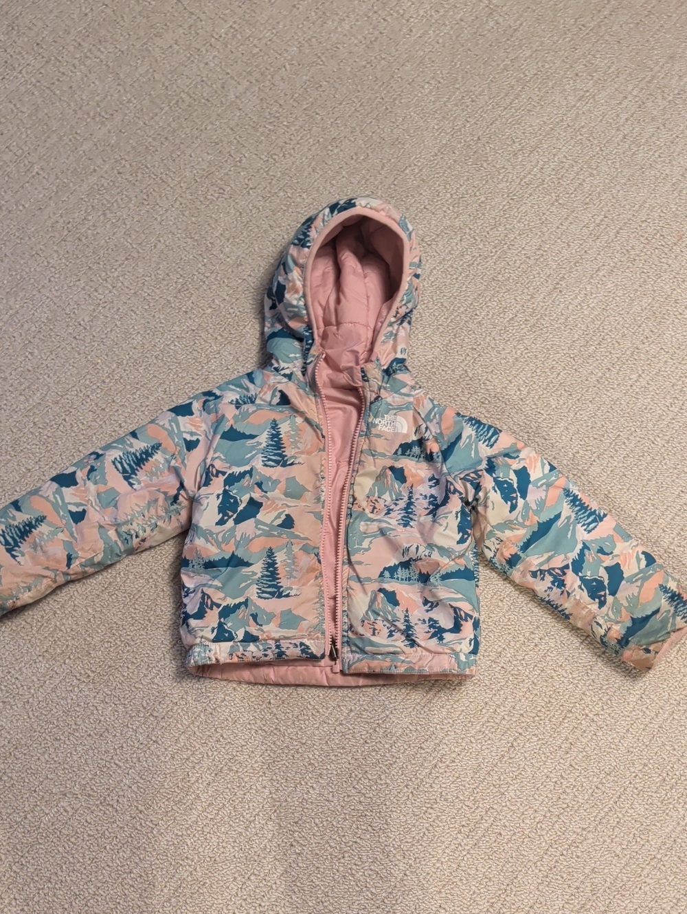 The North Face Kids Hooded Puffer Jacket in Pink and Teal Scenic Print